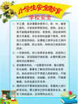 小学安全教育