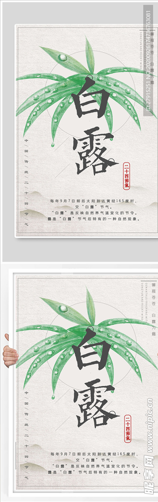白露节气稿海报