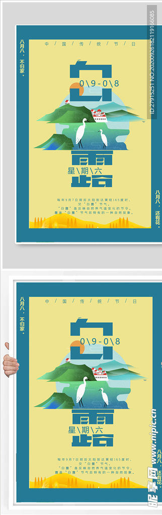 白露节气稿海报