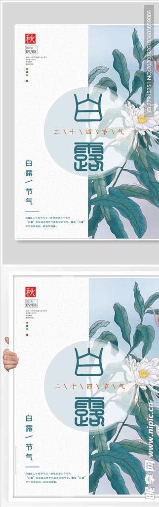 白露节气稿海报