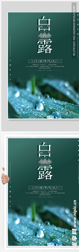 白露节气清新海报