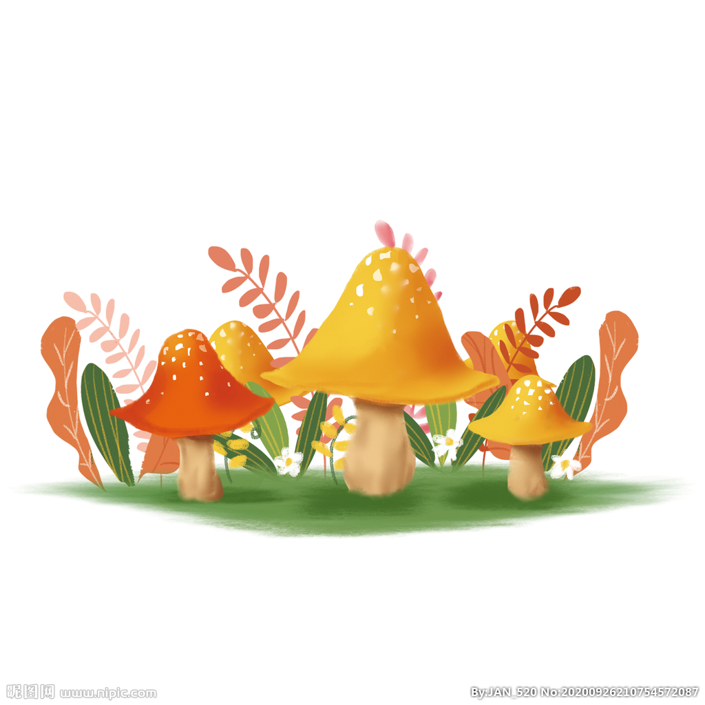 蘑菇|插画|其他插画|YY929322672 - 原创作品 - 站酷 (ZCOOL)
