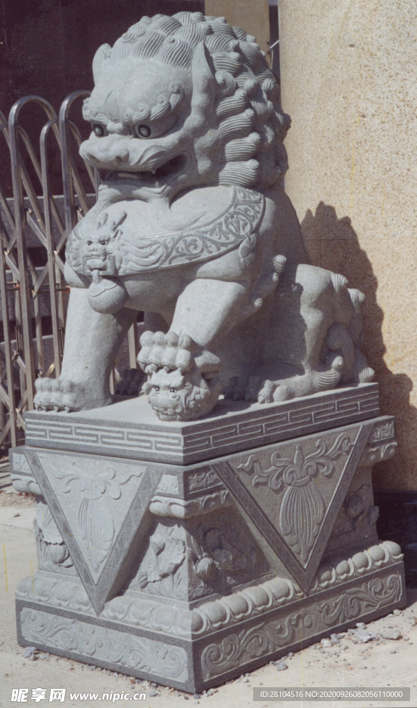北京狮子