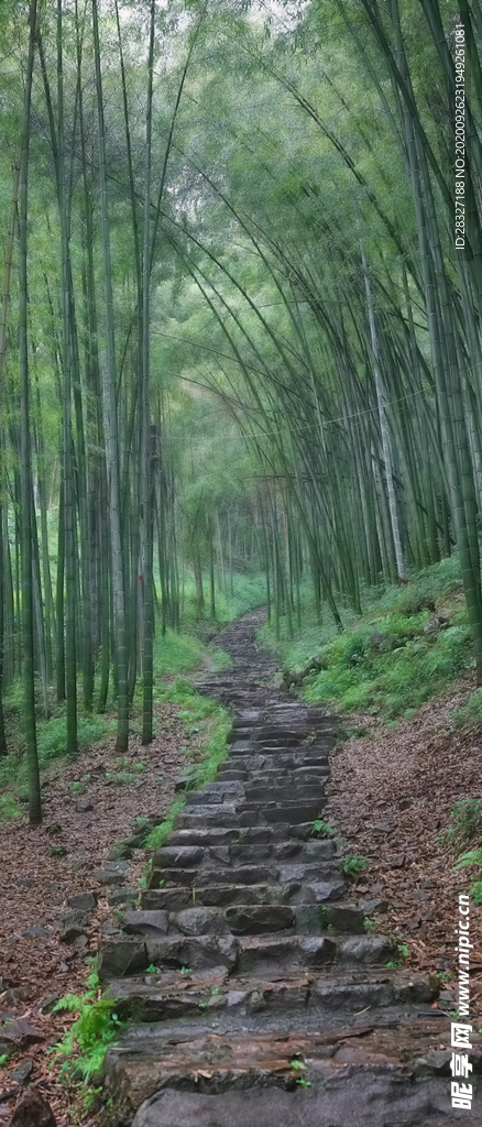 手机壁纸