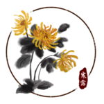 菊花素材