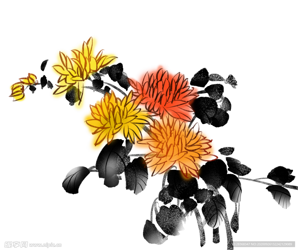 菊花素材