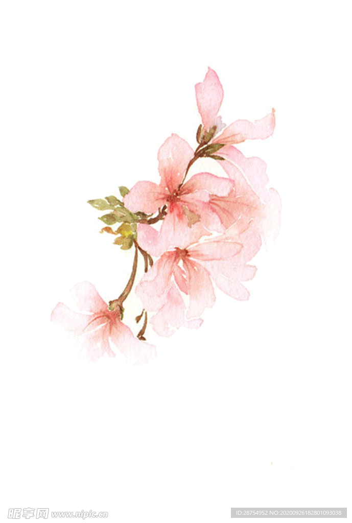 一朵花