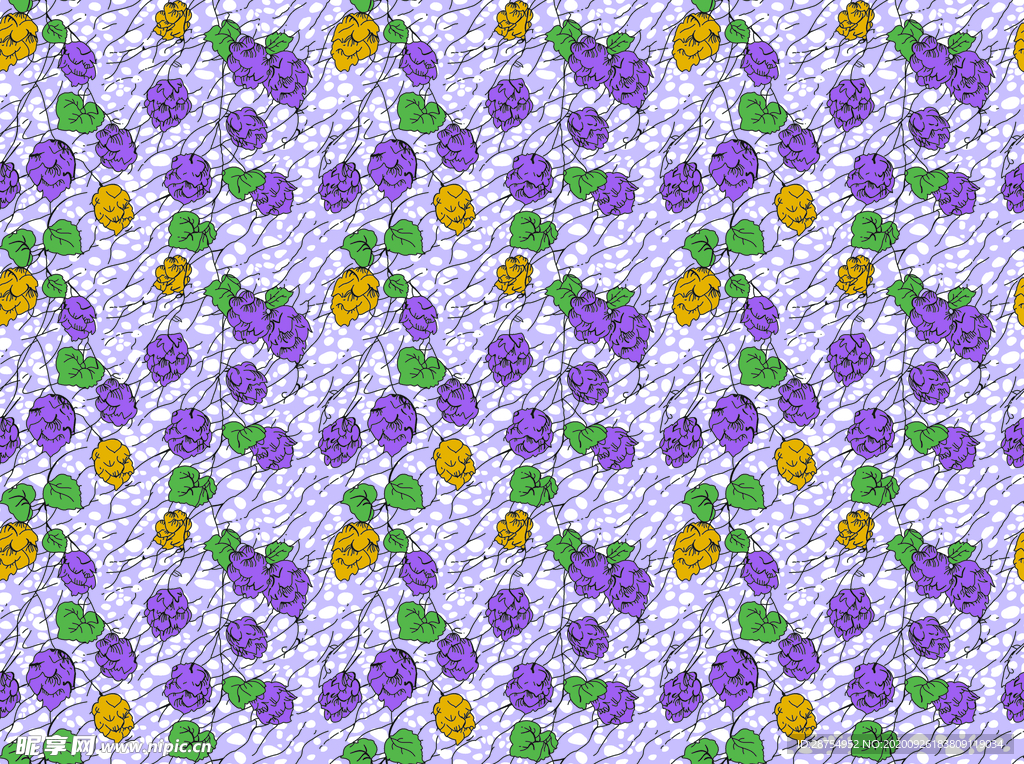 葡萄 紫色葡萄