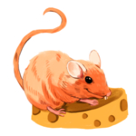 鼠