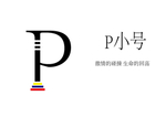 P字母