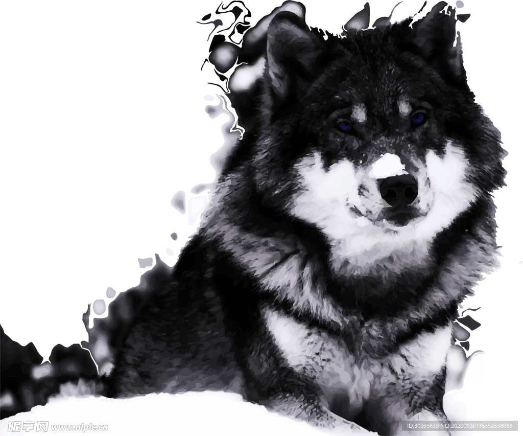 火焰素材