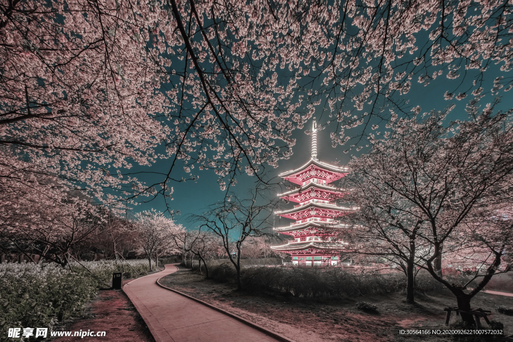 樱花日本旅游旅行海报素材
