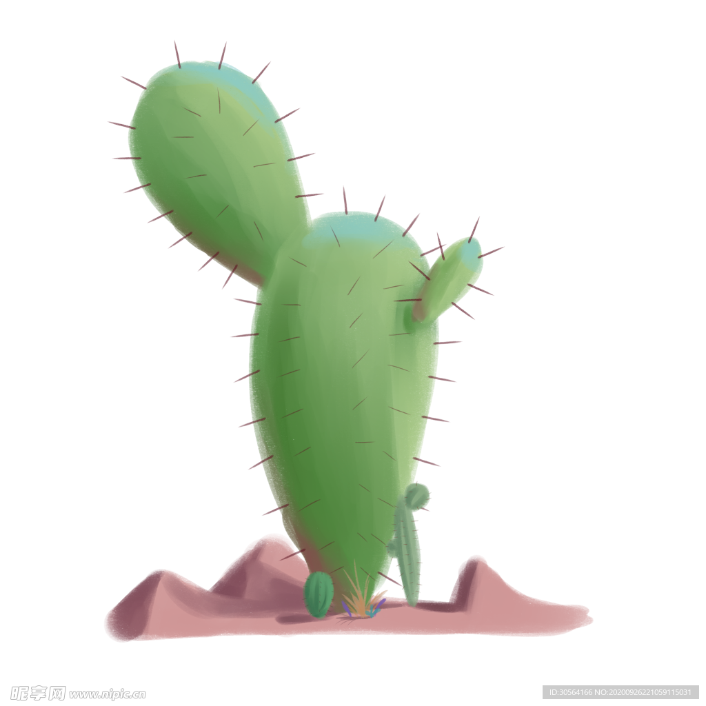 仙人掌植物插画卡通海报素材