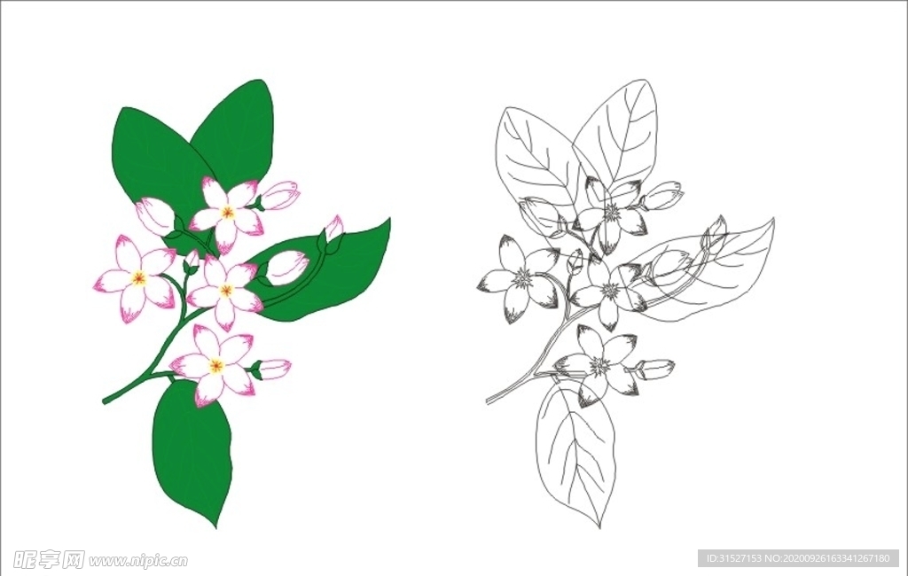 矢量源文件花造型