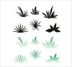 矢量文件草造型