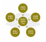 信息图表