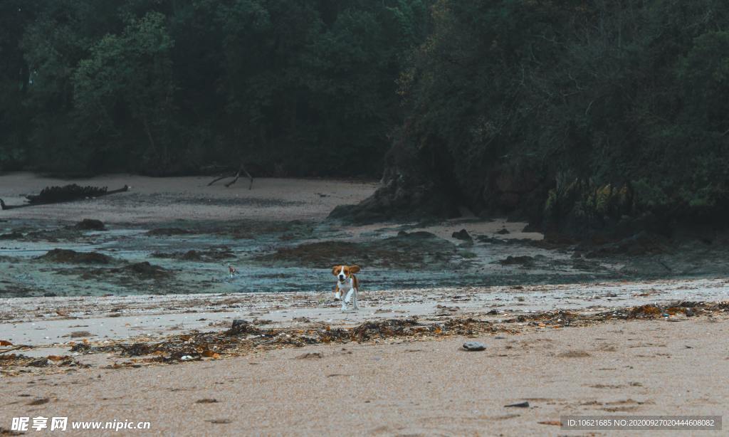 海滩风景