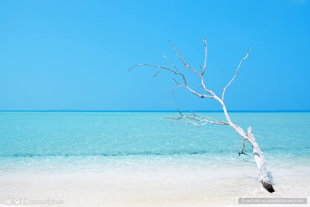 海滩风景
