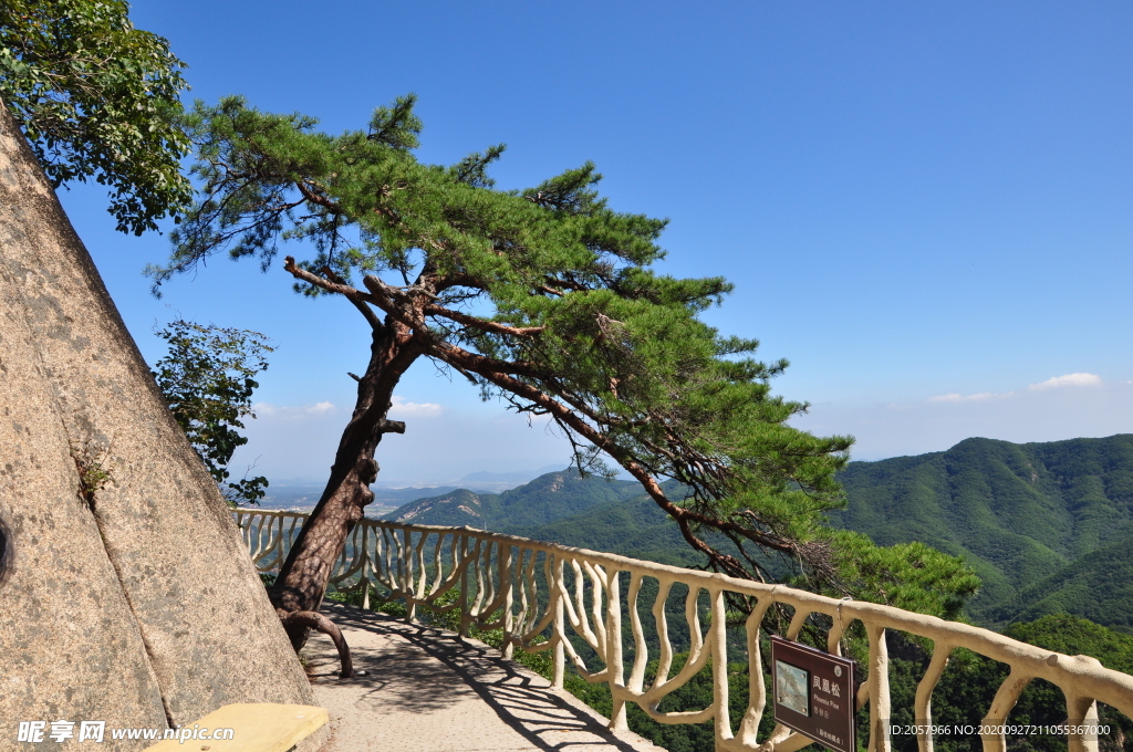 丹东凤凰山迎客松 蓝天 青松