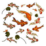 矢量金鱼