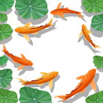矢量金鱼
