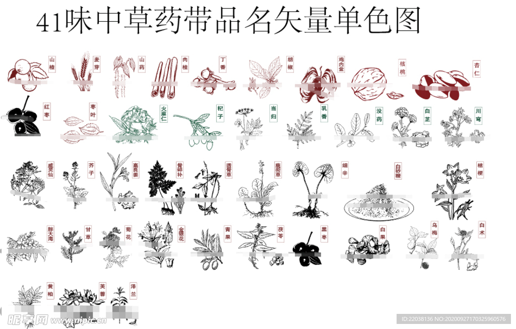 41味单色矢量中草药