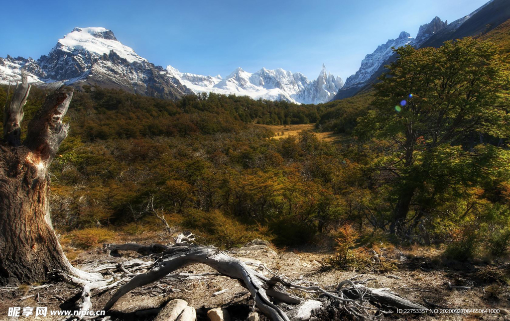 山 大山 高山 黑山 灰山