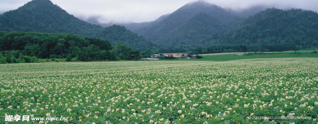 超清风景