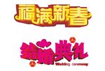 福满新春 结婚典礼
