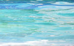 海