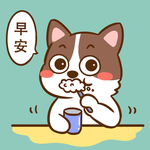 柯基丁丁