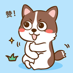 柯基丁丁