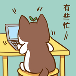 柯基丁丁