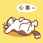 柯基丁丁