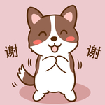 柯基丁丁