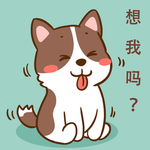 柯基丁丁