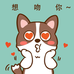 柯基丁丁