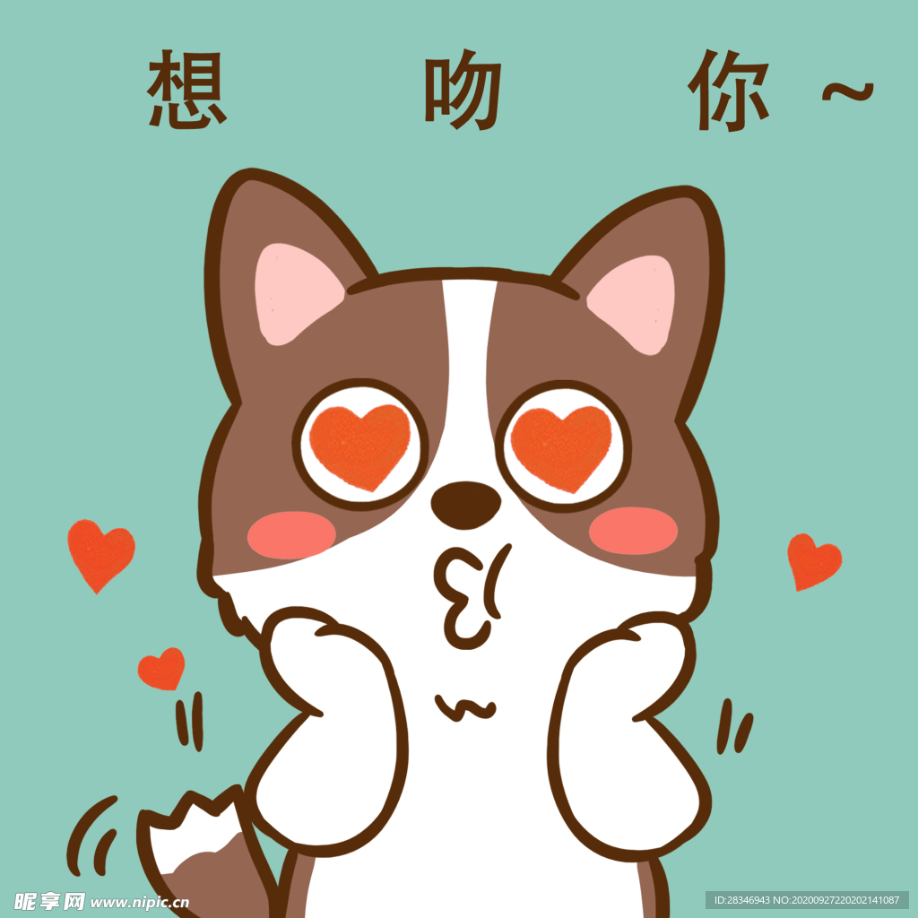 柯基丁丁