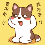 柯基丁丁