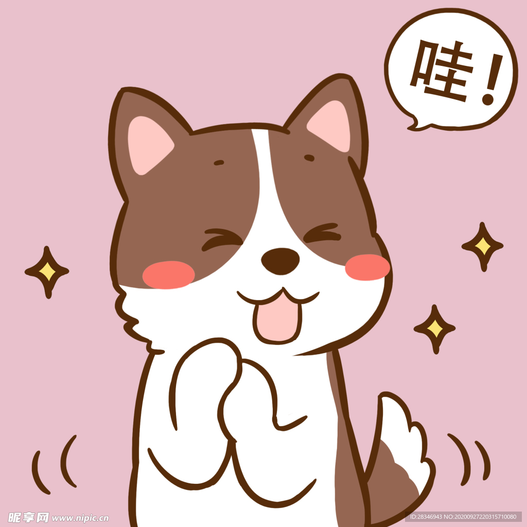 柯基丁丁