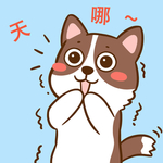 柯基丁丁