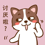 柯基丁丁