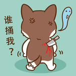 柯基丁丁