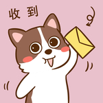 柯基丁丁