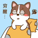 柯基丁丁