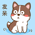 柯基丁丁