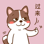 柯基丁丁
