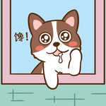 柯基丁丁