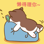 柯基丁丁