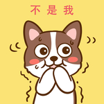 柯基丁丁